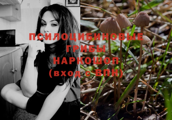 Альфа ПВП Алзамай