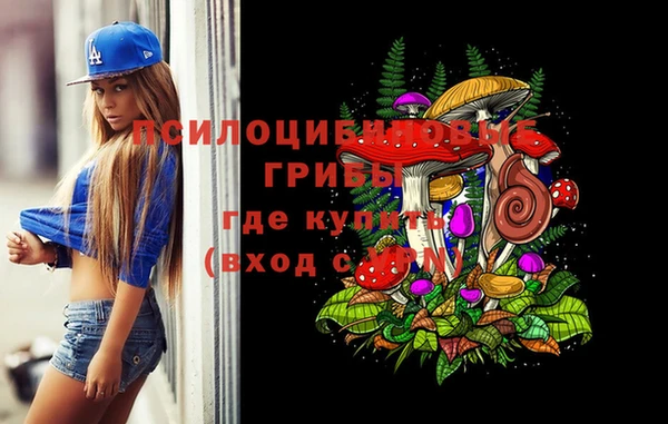 Альфа ПВП Алзамай