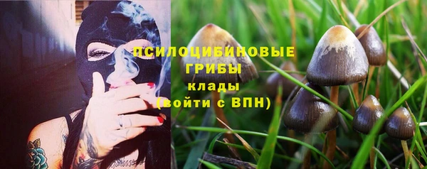 Альфа ПВП Алзамай