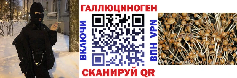 Галлюциногенные грибы Cubensis  мориарти формула  Яровое 